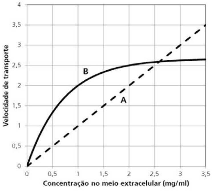 Curvas A e B, velocidade de transporte em função da concentração no meio extracelular.