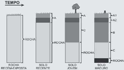 Evolução no tempo: rocha recém-exposta, solo recente, solo jovem, solo maduro; horizontes A,A1,A2,B,C e rocha.