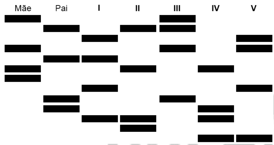 Bandas de DNA da mãe, pai e jovens I a V.