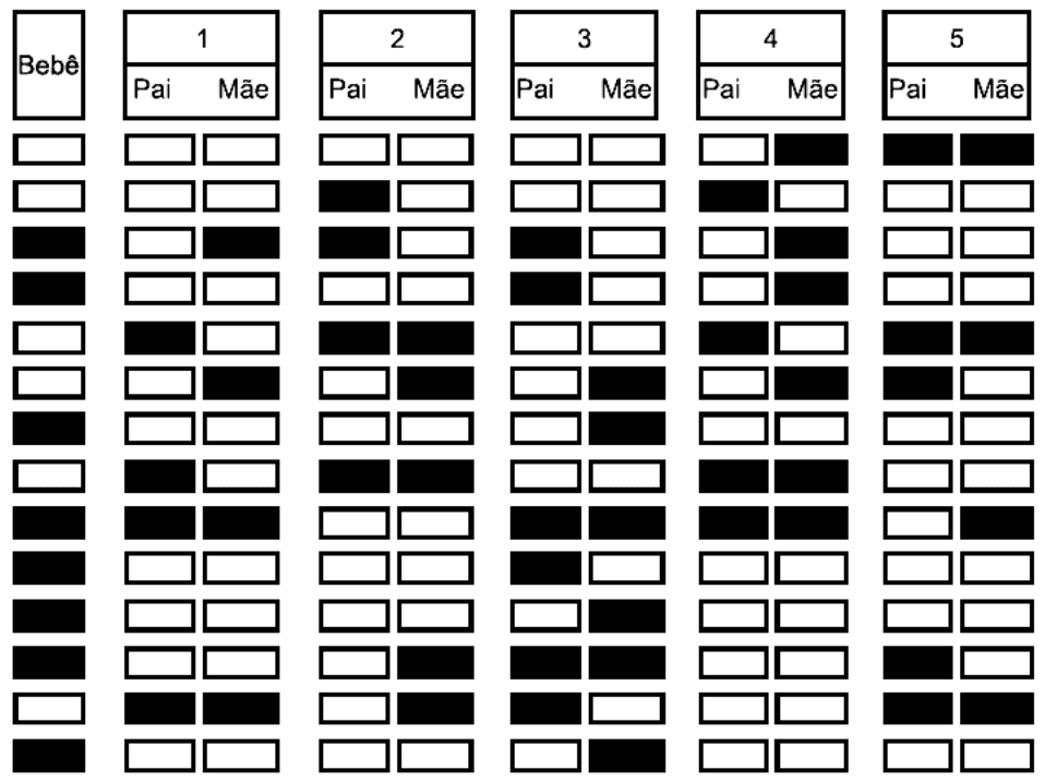 Bandas de DNA do bebê e cinco casais.