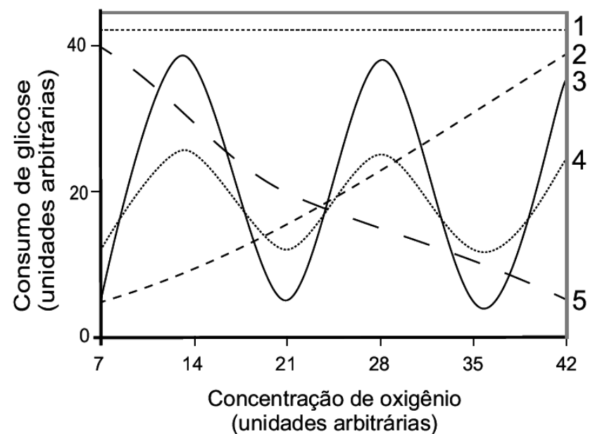 Cinco curvas numeradas1–5; consumo de glicose e concentração de oxigênio em unidades arbitrárias; eixos0/20/40 e7/14/21/28/35/42.