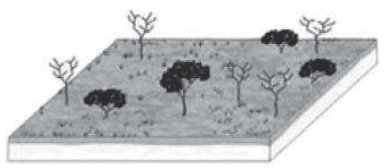 Alternativa a: bloco de terreno com vegetação.
