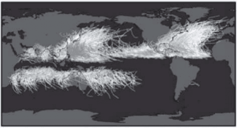 Mapa-múndi com trajetórias de ciclones tropicais.