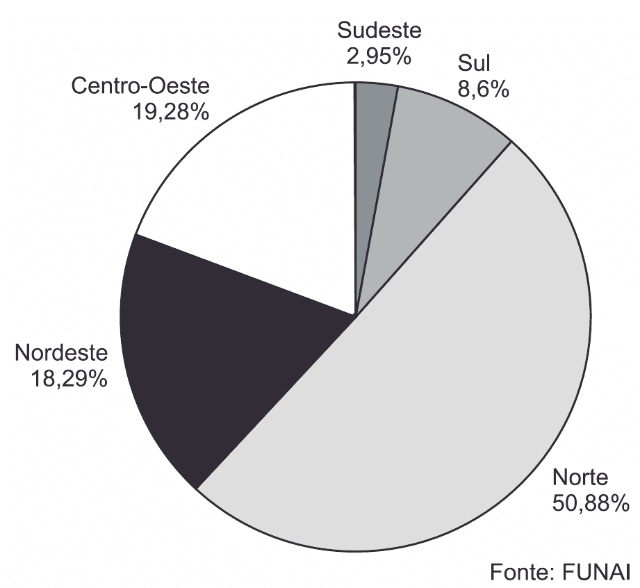 Distribuição indígena:Sudeste2,95%;Sul8,6%;Norte50,88%;Nordeste18,29%;Centro-Oeste19,28%. FonteFUNAI.