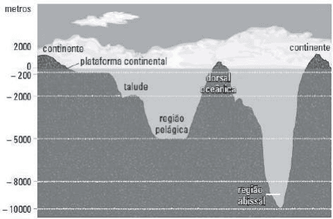 Perfil de relevo submarino com plataforma, talude, profundidades e domínios indicados.