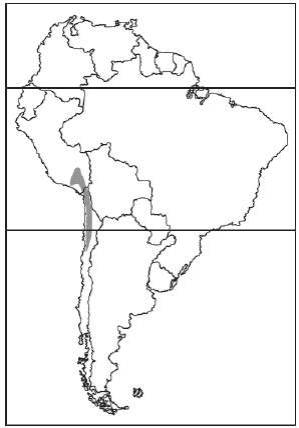 Mapa da América do Sul com área costeira andina sombreada e linhas de latitude.