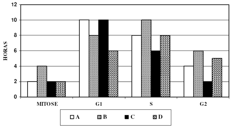 Gráfico de barras com quatro padrões A–D, categorias MITOSE, G1, S e G2; eixo HORAS de0 a12.