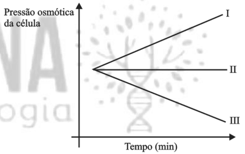 Pressão osmótica da célula no tempo, curvas I crescente, II constante e III decrescente. Recurso grafico.