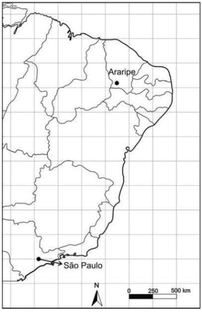 Mapa do Brasil com Araripe, São Paulo, orientação norte e escala gráfica.