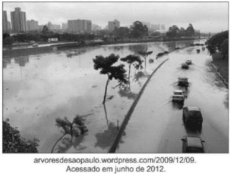 Fotografia de inundação nas margens do Tietê, com veículos, árvores e prédios; URL e data de acesso dentro da imagem.