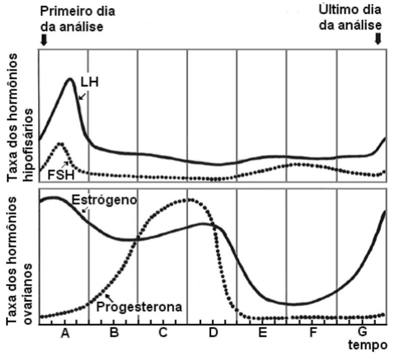 Gráficos das taxas de LH, FSH, estrógeno e progesterona, com primeiro e último dia da análise e intervalos A a G.
