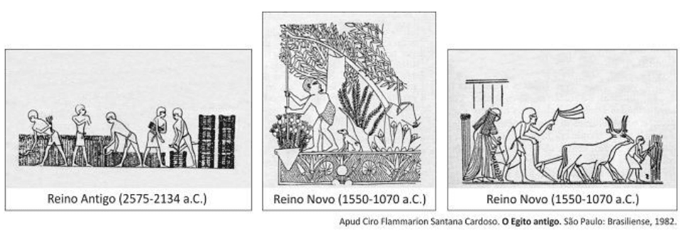 Três cenas de atividades agrícolas no antigo Egito, com trabalhadores, vegetação, ferramentas e animais. Legendas Reino Antigo (2575-2134 a.C.) e Reino Novo (1550-1070 a.C.) nas duas outras cenas. Crédito a Ciro Flammarion Santana Cardoso, O Egito antigo, São Paulo: Brasiliense, 1982, integralmente preservado.