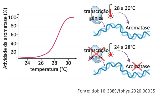 Imagem incorporada pela fonte (Kuadro) sem texto alternativo; conteúdo a descrever na revisão.