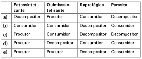 Imagem incorporada pela fonte (Kuadro) sem texto alternativo; conteúdo a descrever na revisão.