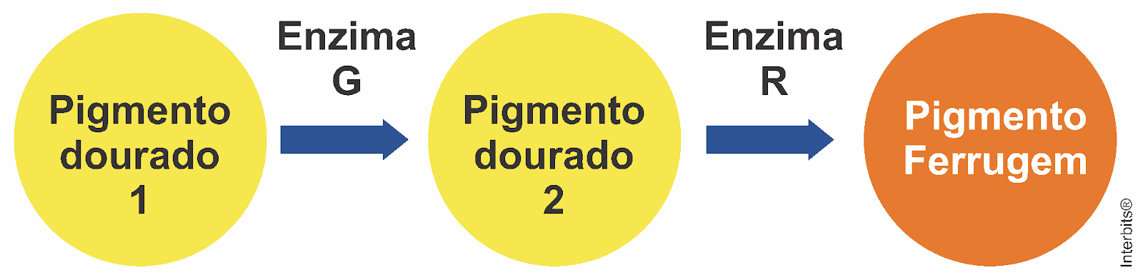 Imagem incorporada pela fonte (Kuadro) sem texto alternativo; conteúdo a descrever na revisão.