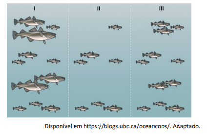 Imagem incorporada pela fonte (Kuadro) sem texto alternativo; conteúdo a descrever na revisão.