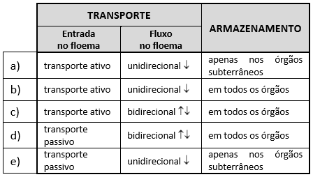 Imagem incorporada pela fonte (Kuadro) sem texto alternativo; conteúdo a descrever na revisão.