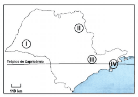 Mapa do Estado de São Paulo com regiões I–IV, Trópico de Capricórnio e escala de 110 km.