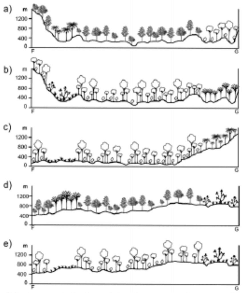Alternativas a–e com perfis de relevo e vegetação entre F e G e cotas em metros. Nota da fonte transcrita em LaTeX.