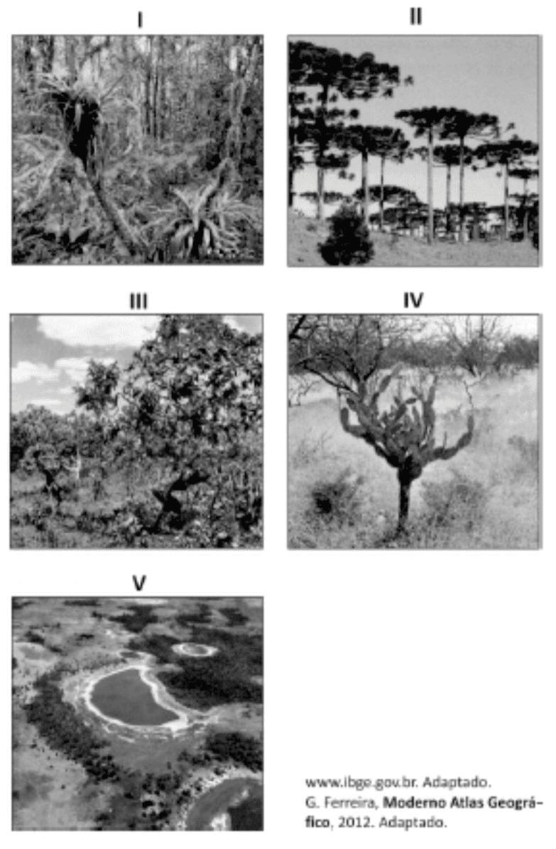 Cinco fotografias identificadas I–V, com créditos IBGE e G. Ferreira, Moderno Atlas Geográfico, 2012.