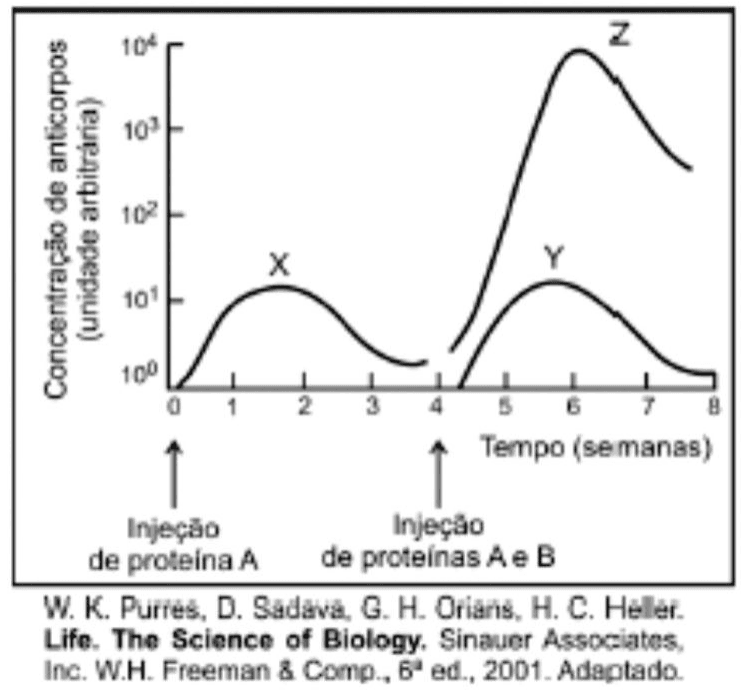 Gráfico de concentrações de anticorpos: curvas X, Y e Z ao longo de oito semanas; injeções das proteínas A e B, escala logarítmica e crédito bibliográfico.