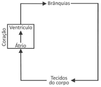Imagem incorporada pela fonte (Kuadro) sem texto alternativo; conteúdo a descrever na revisão.