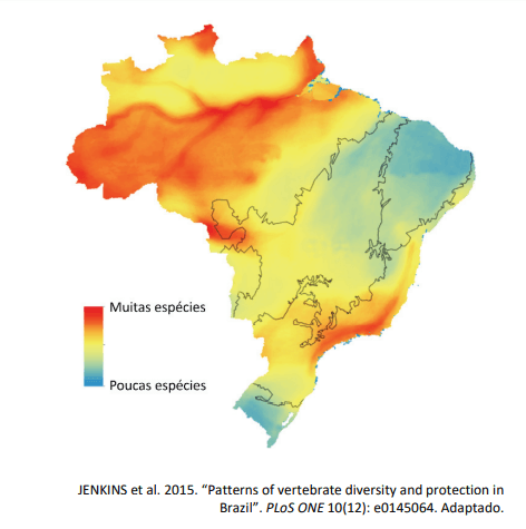 Imagem incorporada pela fonte (Kuadro) sem texto alternativo; conteúdo a descrever na revisão.