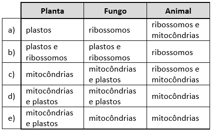 Imagem incorporada pela fonte (Kuadro) sem texto alternativo; conteúdo a descrever na revisão.