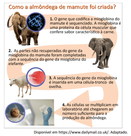 Imagem incorporada pela fonte (Kuadro) sem texto alternativo; conteúdo a descrever na revisão.