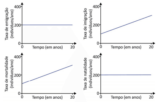 Imagem incorporada pela fonte (Kuadro) sem texto alternativo; conteúdo a descrever na revisão.