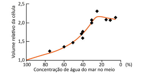 Imagem incorporada pela fonte (Kuadro) sem texto alternativo; conteúdo a descrever na revisão.