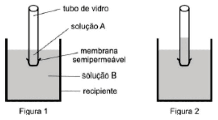 Figuras 1 e 2 com tubo de vidro, solução A, membrana semipermeável, solução B e recipiente, mostrando a elevação do nível interno.