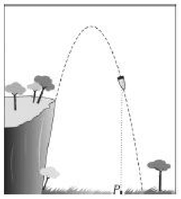 Trajetória parabólica de projétil lançado de um penhasco, com árvores, terreno horizontal, ponto P e perpendicular tracejada.