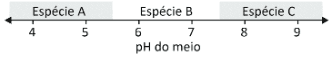 Imagem incorporada pela fonte (Kuadro) sem texto alternativo; conteúdo a descrever na revisão.