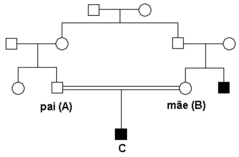 Heredograma com quadrados preenchidos representando meninos afetados, pai A, mãe B, filho C e ligação consanguínea entre os pais.