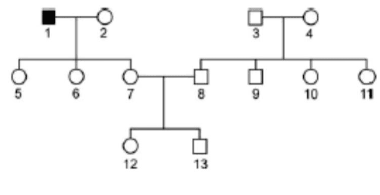 Heredograma com indivíduos 1 a 13, destacando o homem 1 afetado pela doença e os descendentes dos indivíduos 7 e 8.
