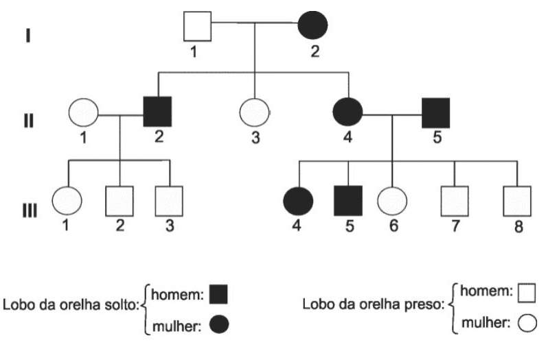 Heredograma de três gerações e legenda dos símbolos para homens e mulheres com lobo da orelha solto ou preso.