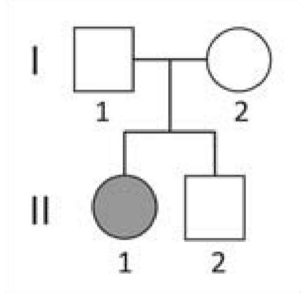 Heredograma com pais I-1 e I-2 não afetados e filhos II-1, menina afetada, e II-2, menino clinicamente normal.