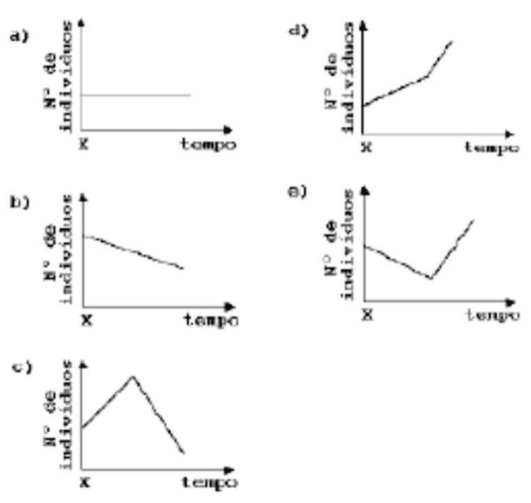 Cinco alternativas a a e de gráficos de número de herbívoros a partir do tempo X.