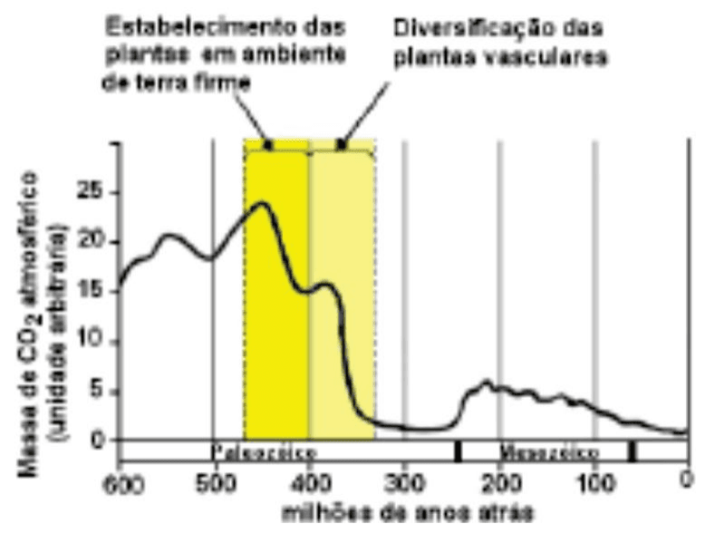 Massa de CO2 atmosférico ao longo de 600 milhões de anos e estabelecimento e diversificação das plantas.