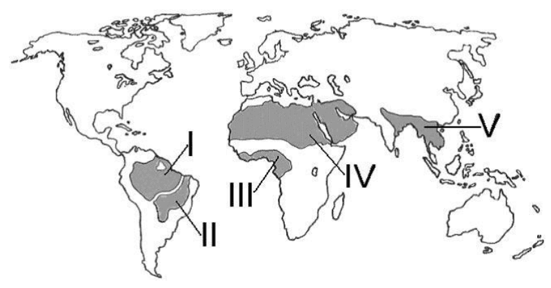 Mapa-múndi com cinco regiões destacadas e identificadas de I a V.