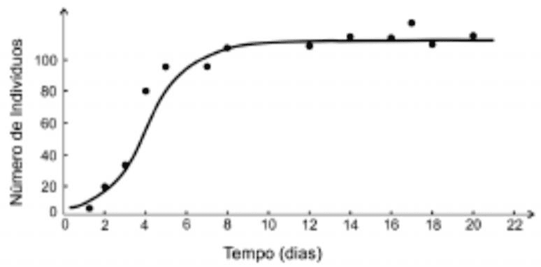 Curva média e contagens da população experimental de protozoários em dias.