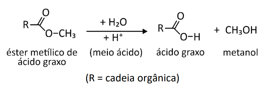 Imagem incorporada pela fonte (Kuadro) sem texto alternativo; conteúdo a descrever na revisão.