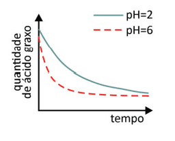 Imagem incorporada pela fonte (Kuadro) sem texto alternativo; conteúdo a descrever na revisão.