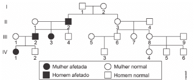 Imagem incorporada pela fonte (Kuadro) sem texto alternativo; conteúdo a descrever na revisão.