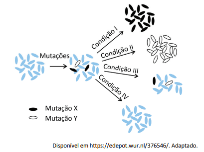 Imagem incorporada pela fonte (Kuadro) sem texto alternativo; conteúdo a descrever na revisão.
