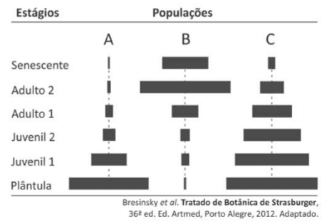 Imagem incorporada pela fonte (Kuadro) sem texto alternativo; conteúdo a descrever na revisão.