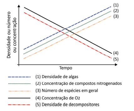 Imagem incorporada pela fonte (Kuadro) sem texto alternativo; conteúdo a descrever na revisão.