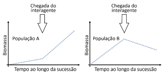 Imagem incorporada pela fonte (Kuadro) sem texto alternativo; conteúdo a descrever na revisão.