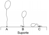 Imagem incorporada pela fonte (Kuadro) sem texto alternativo; conteúdo a descrever na revisão.